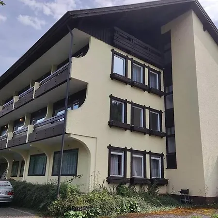 Schwarzwald Appartment Mit Balkon / Black Forrest Appartment With Own Balcony * アルテンシュタイク