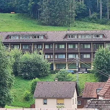Schwarzwald Appartment Mit Balkon / Black Forrest Appartment With Own Balcony アパート